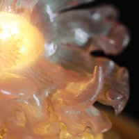 Handmade Mini Betta Fish Aquarium Lamp
