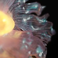 Handmade Mini Betta Fish Aquarium Lamp