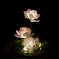Handmade Mini Lotus Flower Pond Ambience Night Light Rechargeable Lamp