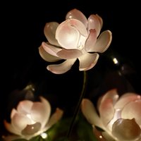 Handmade Mini Lotus Flower Pond Ambience Night Light Rechargeable Lamp