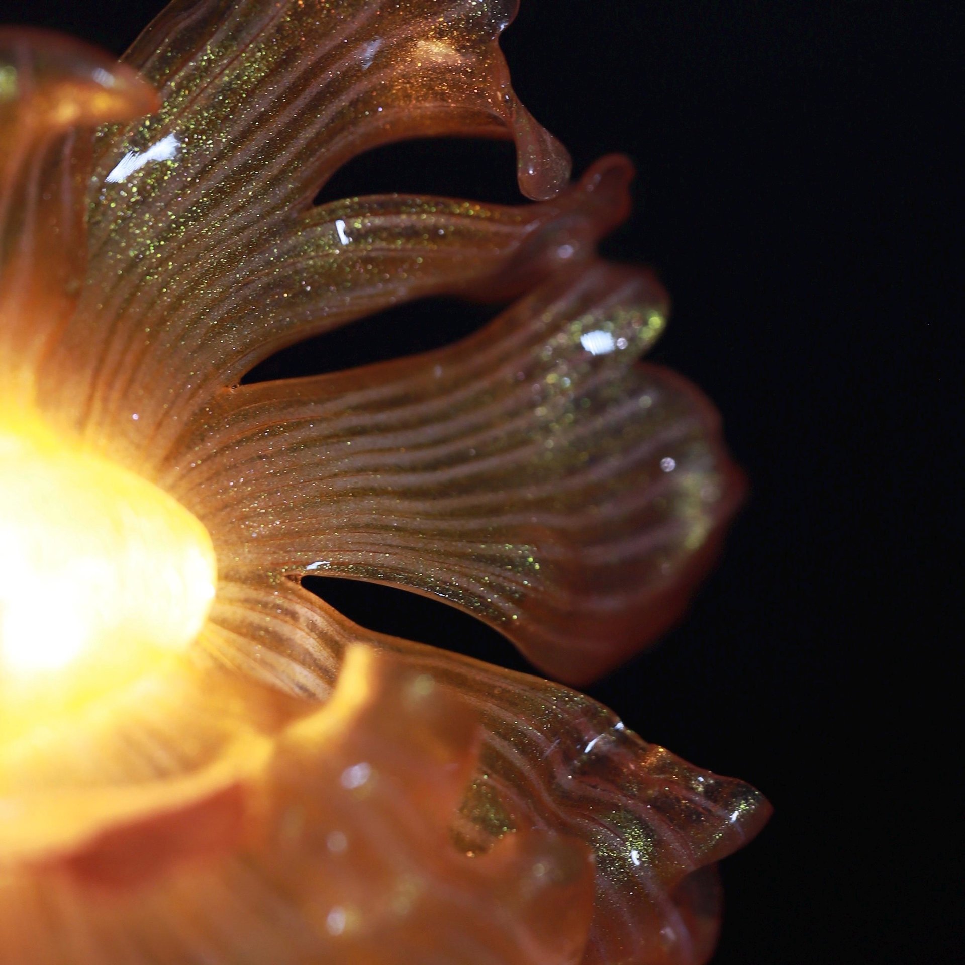 Handmade Mini Betta Fish Aquarium Lamp