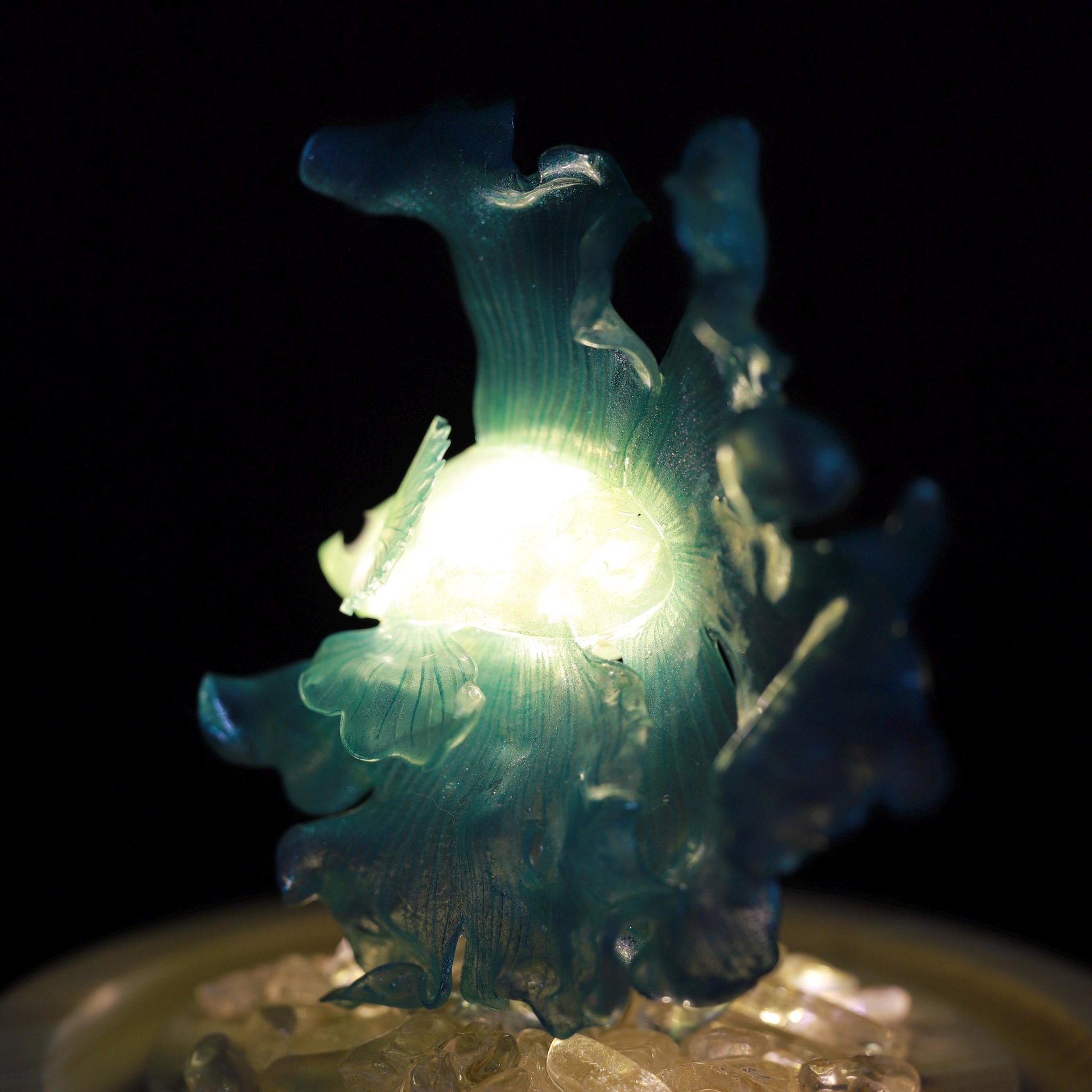 Handmade Mini Betta Fish Aquarium Lamp