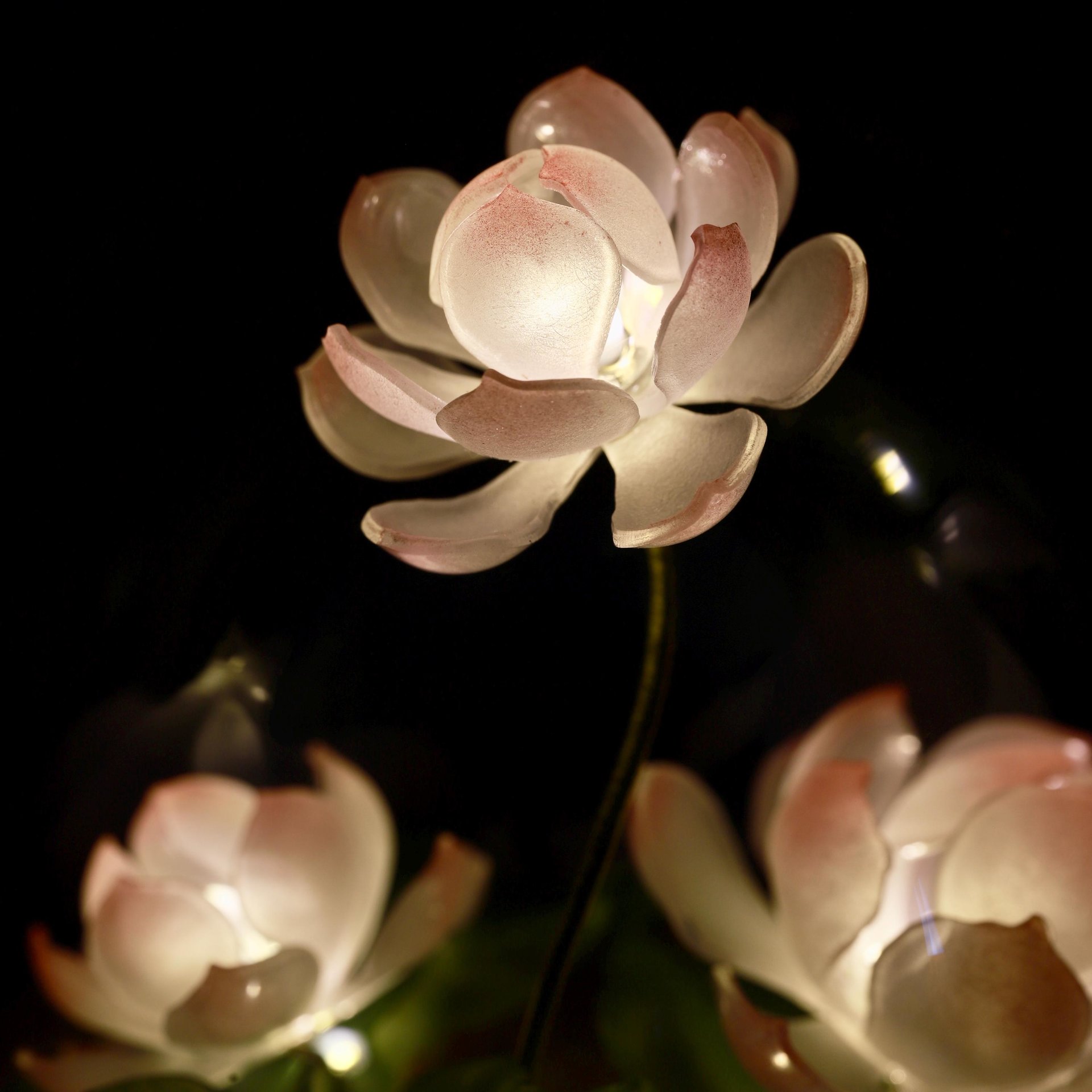 Handmade Mini Lotus Flower Pond Ambience Night Light Rechargeable Lamp